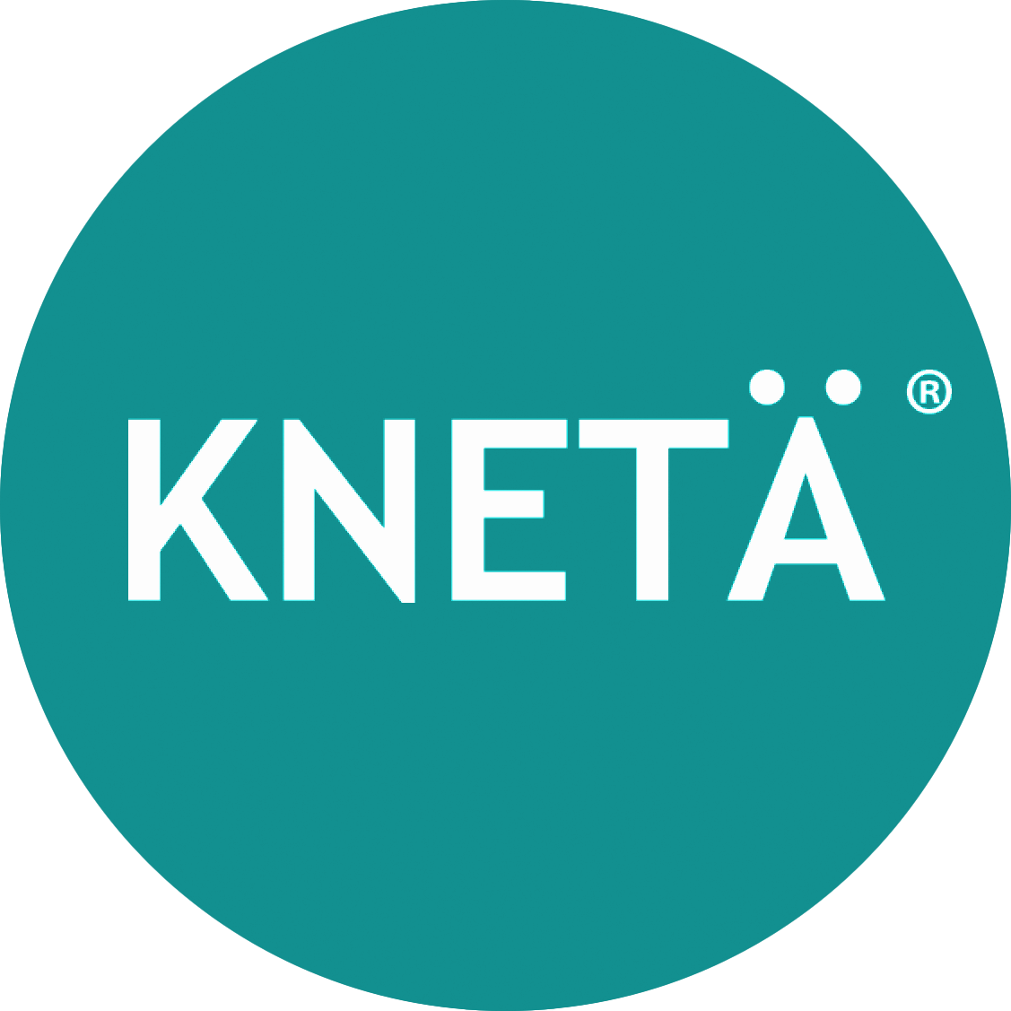 Logo KNETAe 1